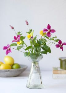 Hyacinth vase clear S WEL030