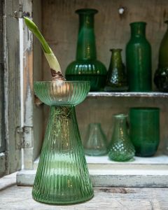 Hyacinth vase green S WEL031